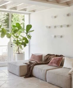 Talik Velvet Rectangular Cushion Cover - Dusk -Cultiver Sales Store 14 Talik Dusk Cushion 04