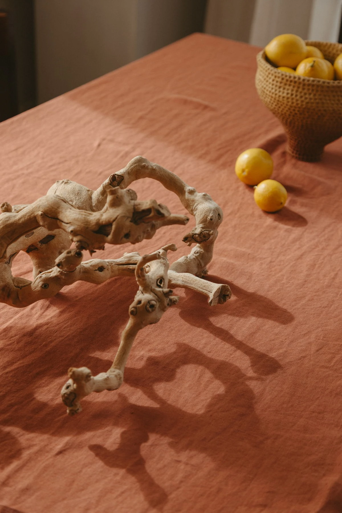 Cultiver Sales Store -Cultiver Sales Store ima1ge